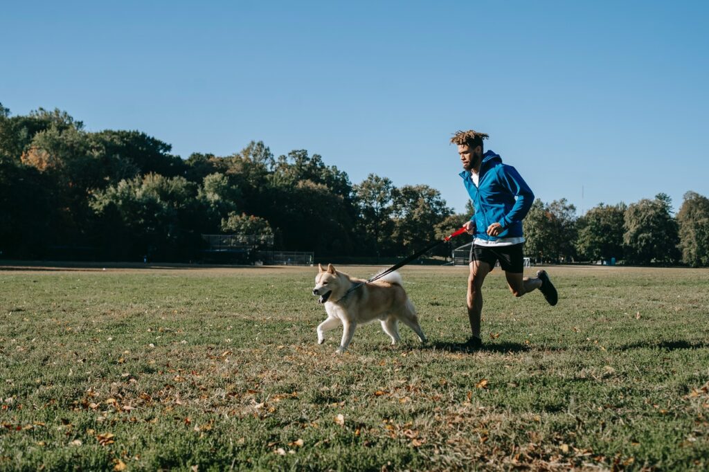 run outdoors with the dog