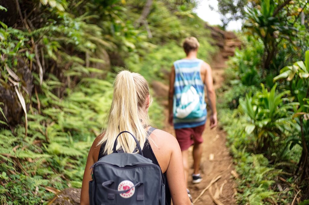 observe the surroundings while hiking