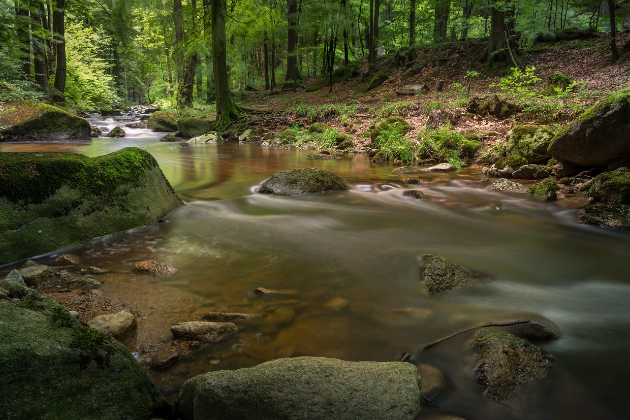 Trail Running Benefits: Why Trail Running Is Good For You - John Low