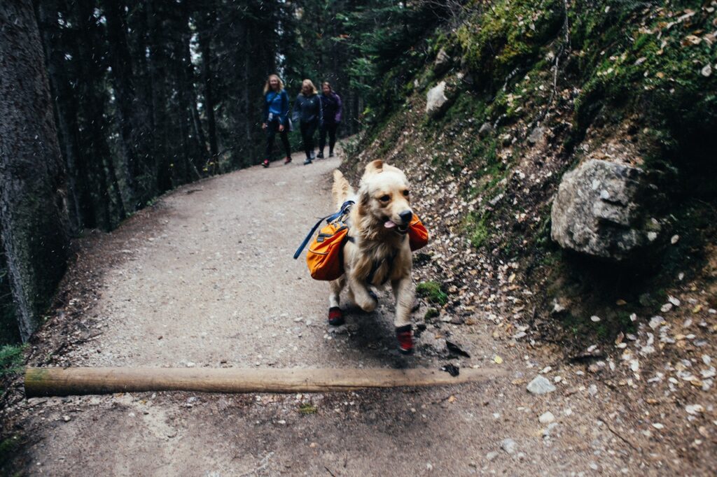 fast hikers